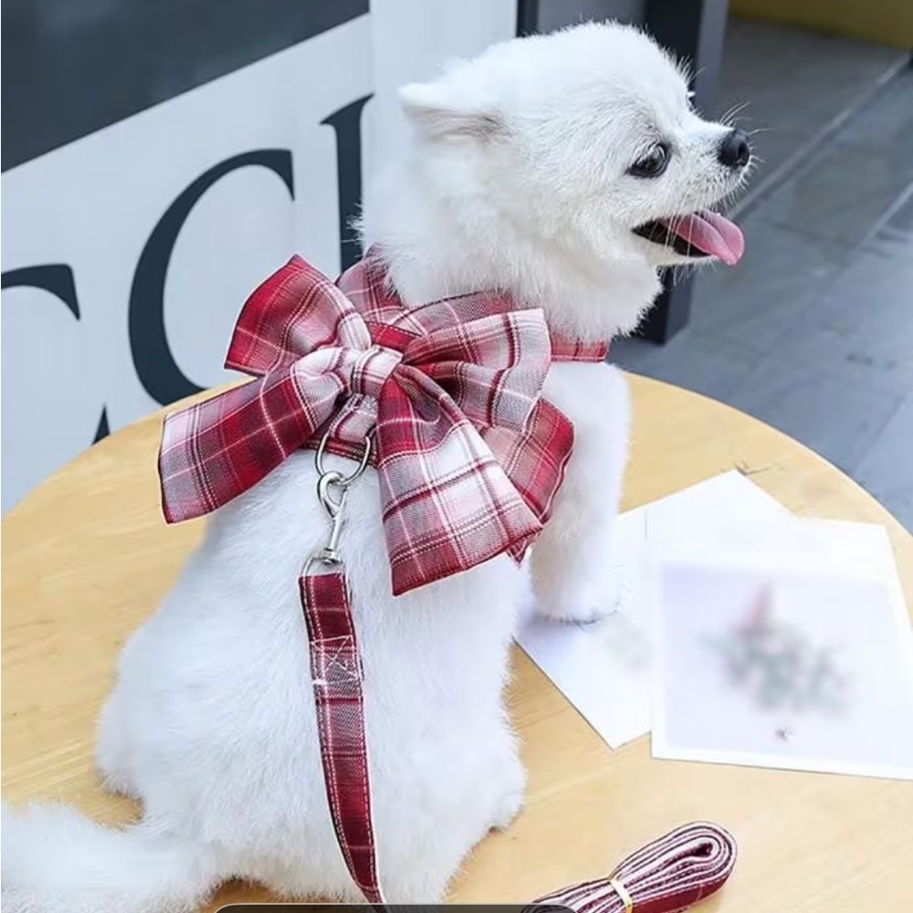 Small Pet Bow Chest Harness with matching leash.XS